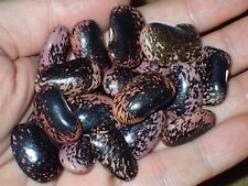 Scarlet runner bean for sale  Shipping to Ireland
