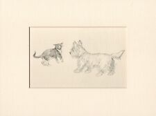 WEST HIGHLAND WHITE TERRIER & KITTEN VINTAGE 1939 DOG ART PRINT by  K F BARKER usato  Spedire a Italy
