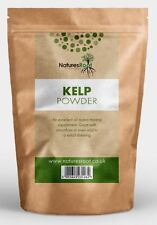 Premium kelp powder for sale  ENFIELD