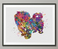 regalo cane maltese usato regalo cane maltese usato Spedire a Italy