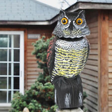 Decoy owl realistic for sale  HAYES