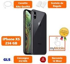 Apple iphone 256gb usato  Napoli