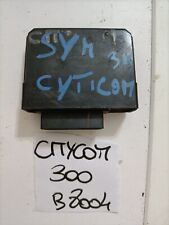 300 sym 2009 citycom usato  Italia