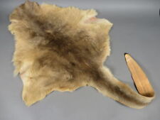 Tanned kangaroo fur for sale  Elmira