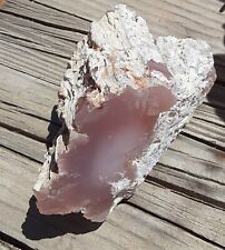 Agatized petrified wood for sale  Shafter