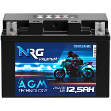 Nrg ytx12a agm gebraucht kaufen  Mannheim