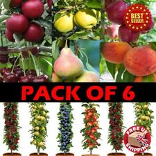 Pack orchard bundle for sale  OXFORD