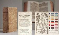 Willdenow Grundriß El Kräuterkunde 1802 Kräuterbücher Medicina Natural segunda mano  Embacar hacia Argentina