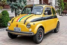 1970 fiat 500l for sale  Albany