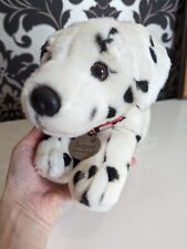 Jasper dalmatian dog for sale  ROCHESTER
