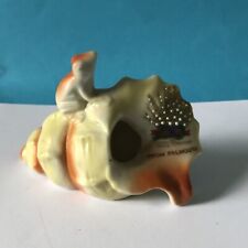 Frog shell lucky for sale  PLYMOUTH
