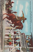 Cartão postal Cheyenne Frontier Days Cowboys evento de rodeio em Wyoming comprar usado  Enviando para Brazil