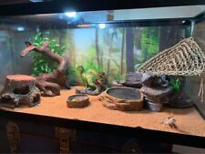 Gallon reptile tank for sale  Troupsburg