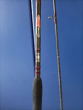 Canna pesca spinning usato  Vibo Valentia