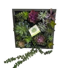 Wall faux succulent for sale  Bucyrus