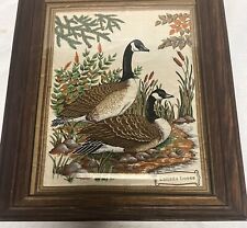 Vintage canada goose for sale  Saint Pauls