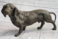 Dachshund weiner dog for sale  New York