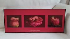 Anne geddes bild gebraucht kaufen  Neukirch