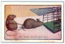 C1910 rat mouse for sale  Terre Haute