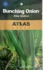 Atlas scallion onion for sale  Murrieta