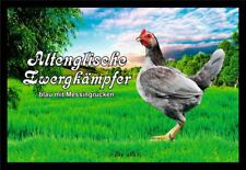 Fußmatte hühner altenglische gebraucht kaufen  Limbach-Oberfrohna