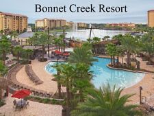 Bonnet creek resort for sale  Morrow