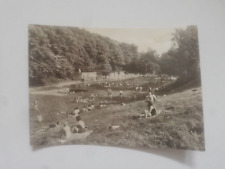 Postkarte roßwein freibad gebraucht kaufen  Halle