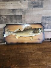 fish wall mount for sale  New Douglas