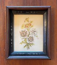 Antique hand colored for sale  Sewell