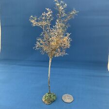 Dolls miniature tree for sale  SOLIHULL