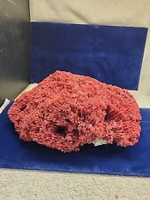 Natural large red for sale  San Diego