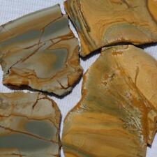 RimRock: 4 OWYHEE PICTURE JASPER Rough Slabs for sale  Shipping to South Africa