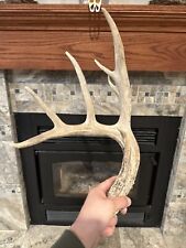 Whitetail antler great for sale  Broken Bow