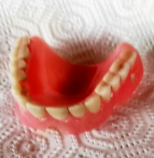 Zahnprothese zahnersatz gebiss gebraucht kaufen  Wittstock/Dosse