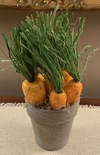 Carrots gray pot for sale  Shelbyville