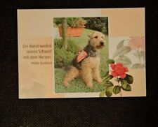 Tierpostkarte hund hundepostka gebraucht kaufen  Sondershausen