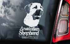 Anatolian shepherd car for sale  Shipping to Ireland