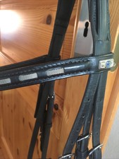 stirnriemen trense gebraucht kaufen stirnriemen trense gebraucht kaufen Borken