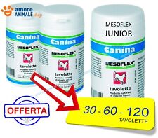 Canina mesoflex junior usato  Serra De Conti