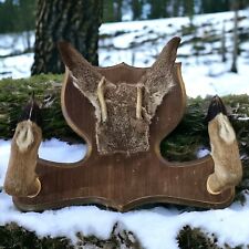 Vintage deer antlers for sale  Oregon