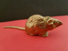 Charmant petit rat d'occasion  Corbeil-Essonnes