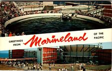 Chrome postcard marineland for sale  Altoona