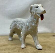 Whippet racing dog for sale  Bemidji