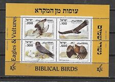 Israel birds raptors for sale  IPSWICH