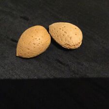 Almond tree seeds for sale  LONDON