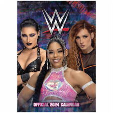 Wwe women wall for sale  MANCHESTER