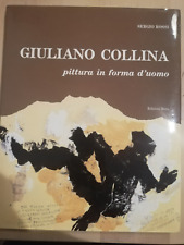 Giuliano collina. pittura usato  Torri In Sabina
