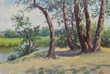 Pintura al óleo original de paisaje fluvial artista ucraniano V. Lugovoi, 1965. segunda mano  Embacar hacia Argentina