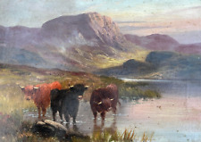 Highland cows loch for sale  PERTH