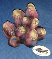 Coral barnacle hollow for sale  UK